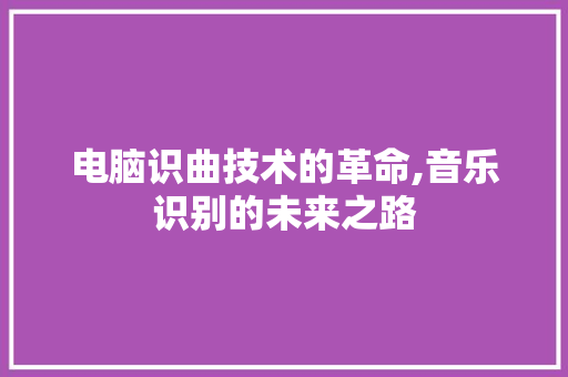 电脑识曲技术的革命,音乐识别的未来之路 电脑配置