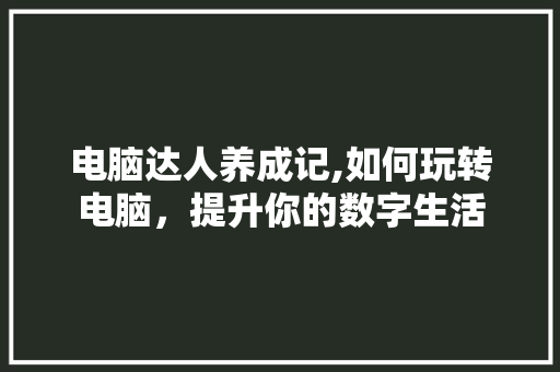 电脑达人养成记,如何玩转电脑，提升你的数字生活 电脑配置