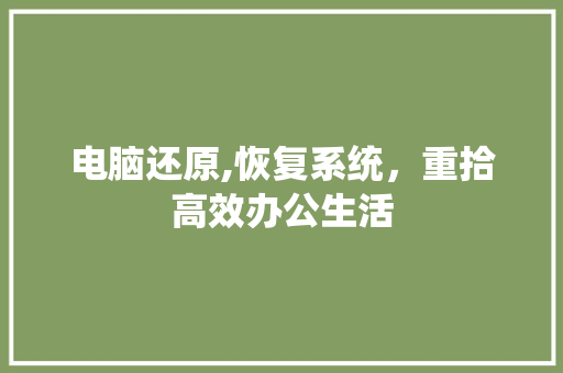 电脑还原,恢复系统,重拾高效办公生活 电脑基础 电脑还原,恢复系统,重拾高效办公生活 电脑基础
