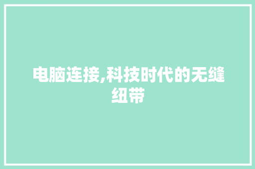 电脑连接,科技时代的无缝纽带 操作系统