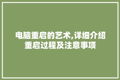 电脑重启的艺术,详细介绍重启过程及注意事项 编程语言
