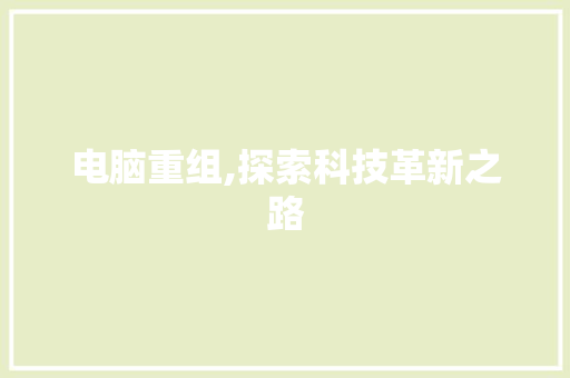 电脑重组,探索科技革新之路 网络技术
