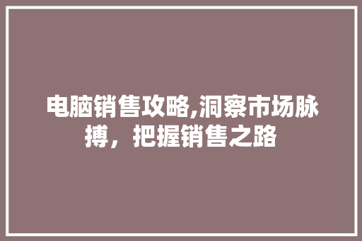 电脑销售攻略,洞察市场脉搏，把握销售之路 网络技术