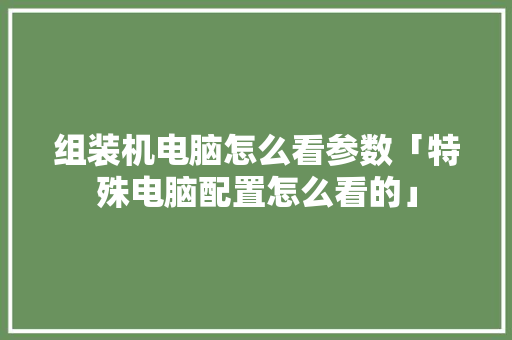组装机电脑怎么看参数「特殊电脑配置怎么看的」 组装机电脑怎么看参数「特殊电脑配置怎么看的」 编程语言