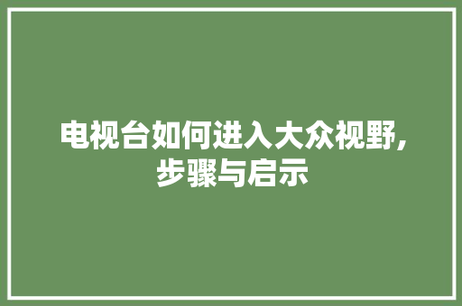 电视台如何进入大众视野,步骤与启示