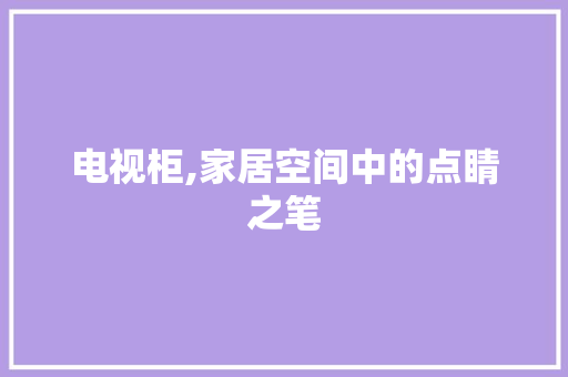 电视柜,家居空间中的点睛之笔