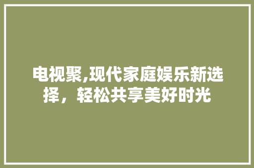 电视聚,现代家庭娱乐新选择，轻松共享美好时光