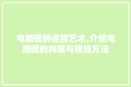 电路图的连接艺术,介绍电路图的构建与接线方法