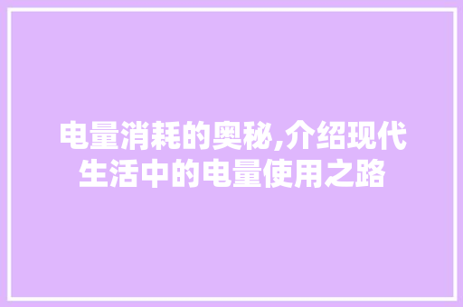 电量消耗的奥秘,介绍现代生活中的电量使用之路
