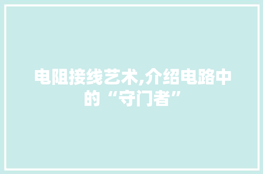 电阻接线艺术,介绍电路中的“守门者”