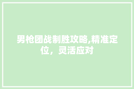 男枪团战制胜攻略,精准定位，灵活应对