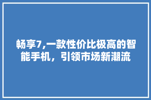 畅享7,一款性价比极高的智能手机，引领市场新潮流