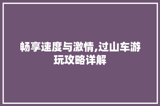 畅享速度与激情,过山车游玩攻略详解