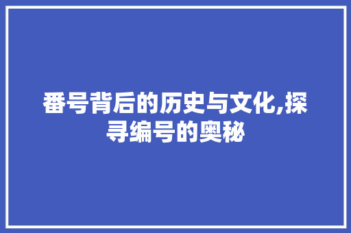 番号背后的历史与文化,探寻编号的奥秘