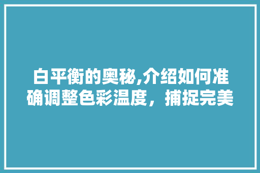 白平衡的奥秘,介绍如何准确调整色彩温度，捕捉完美画面