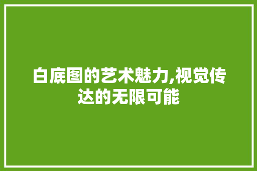 白底图的艺术魅力,视觉传达的无限可能