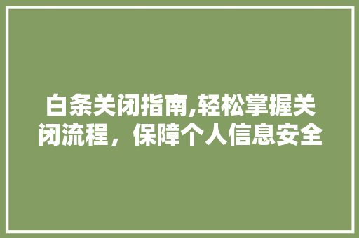 白条关闭指南,轻松掌握关闭流程，保障个人信息安全