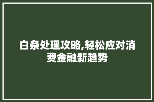 白条处理攻略,轻松应对消费金融新趋势