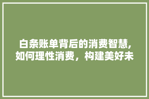 白条账单背后的消费智慧,如何理性消费，构建美好未来 电脑配置
