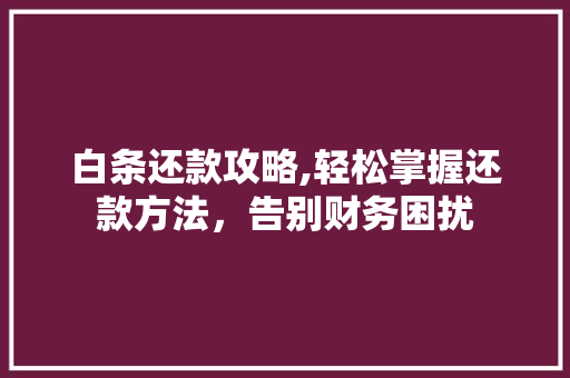 白条还款攻略,轻松掌握还款方法，告别财务困扰