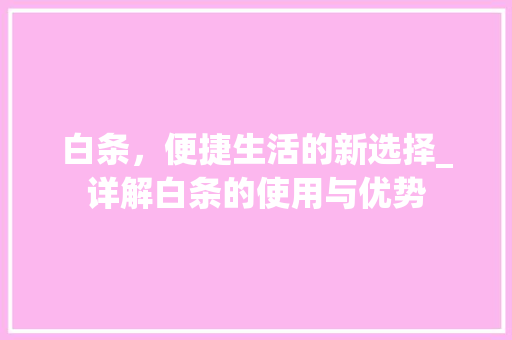 白条，便捷生活的新选择_详解白条的使用与优势