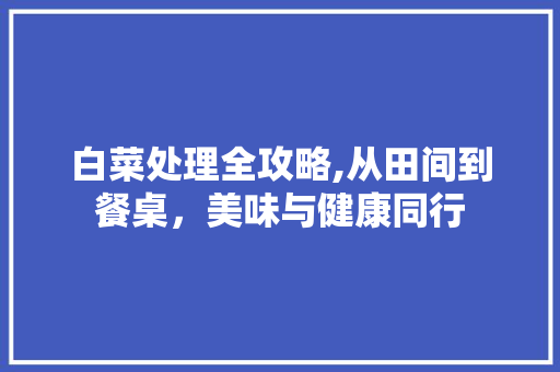 白菜处理全攻略,从田间到餐桌，美味与健康同行