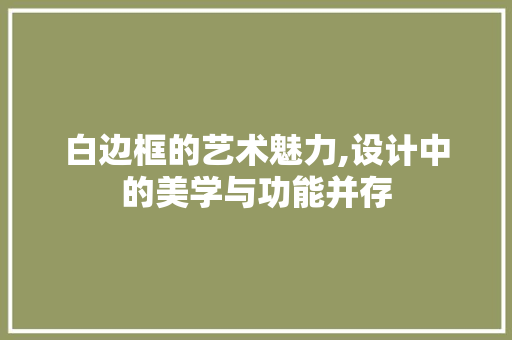 白边框的艺术魅力,设计中的美学与功能并存 网络技术