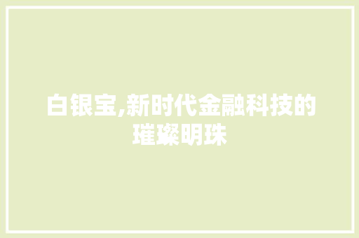 白银宝,新时代金融科技的璀璨明珠