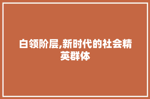 白领阶层,新时代的社会精英群体 电脑基础 白领阶层,新时代的社会精英群体 电脑基础