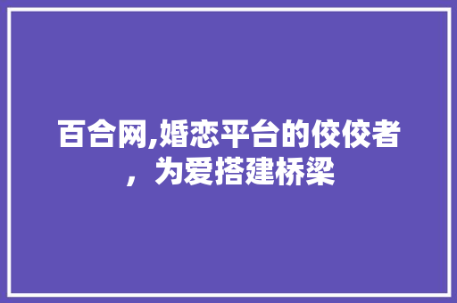 百合网,婚恋平台的佼佼者,为爱搭建桥梁 网络技术 百合网,婚恋平台的佼佼者,为爱搭建桥梁 网络技术