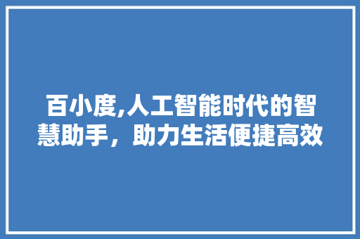 百小度,人工智能时代的智慧助手，助力生活便捷高效 网络技术