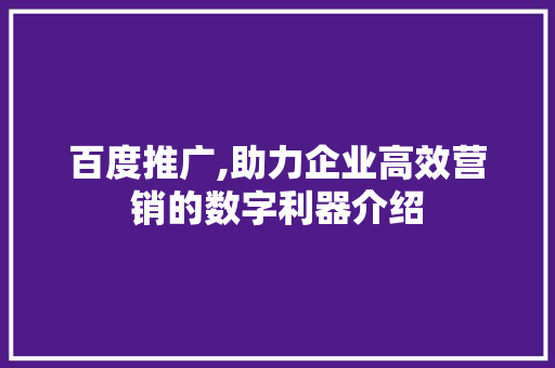 百度推广,助力企业高效营销的数字利器介绍 百度推广,助力企业高效营销的数字利器介绍