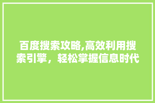 百度搜索攻略,高效利用搜索引擎,轻松掌握信息时代 百度搜索攻略,高效利用搜索引擎,轻松掌握信息时代
