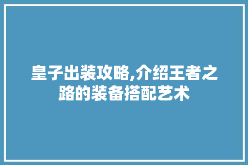 皇子出装攻略,介绍王者之路的装备搭配艺术