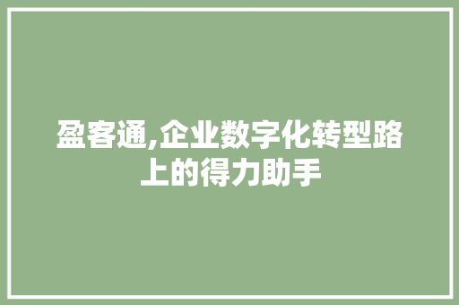 盈客通,企业数字化转型路上的得力助手