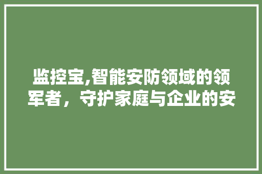 监控宝,智能安防领域的领军者，守护家庭与企业的安全防线