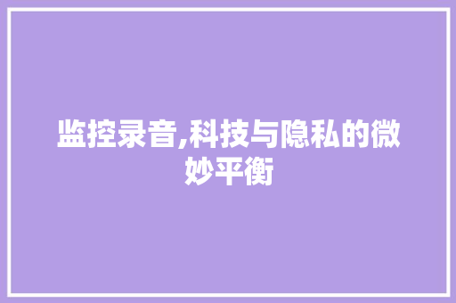 监控录音,科技与隐私的微妙平衡