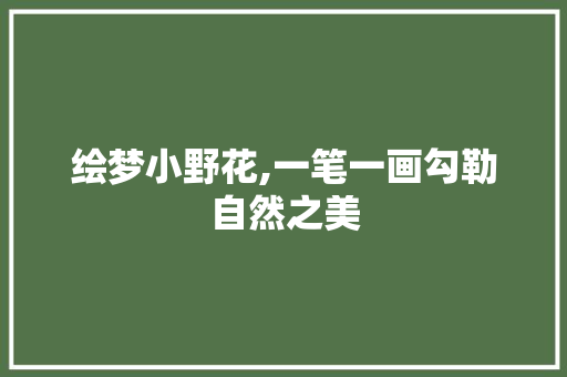 绘梦小野花,一笔一画勾勒自然之美
