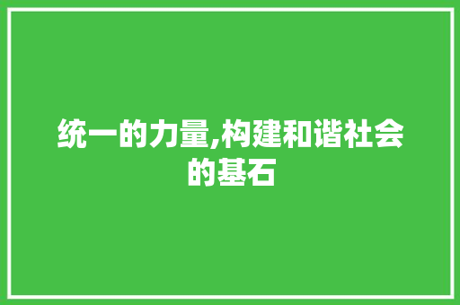 统一的力量,构建和谐社会的基石