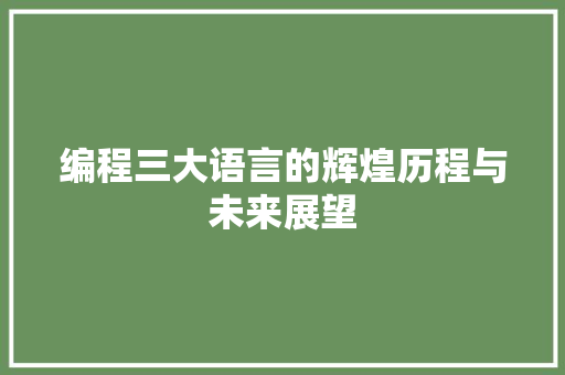 编程三大语言的辉煌历程与未来展望