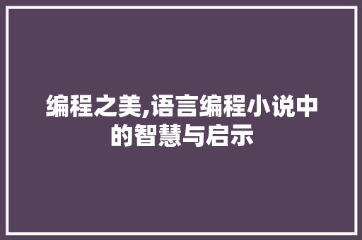 编程之美,语言编程小说中的智慧与启示 电脑配置