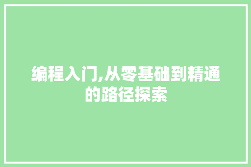 编程入门,从零基础到精通的路径探索