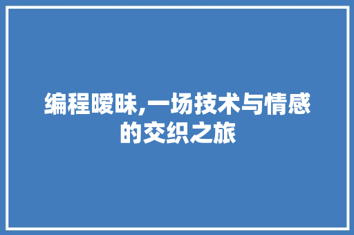 编程暧昧,一场技术与情感的交织之旅