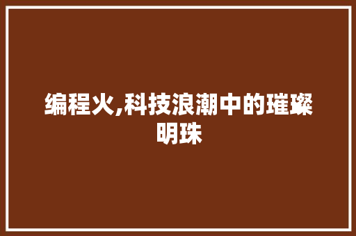 编程火,科技浪潮中的璀璨明珠