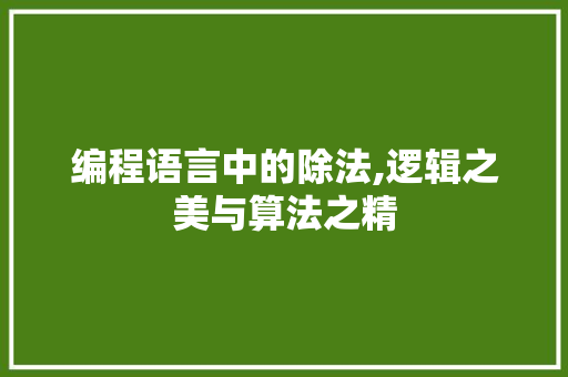 编程语言中的除法,逻辑之美与算法之精