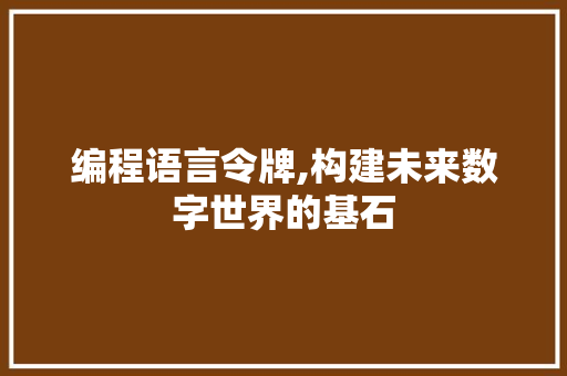 编程语言令牌,构建未来数字世界的基石