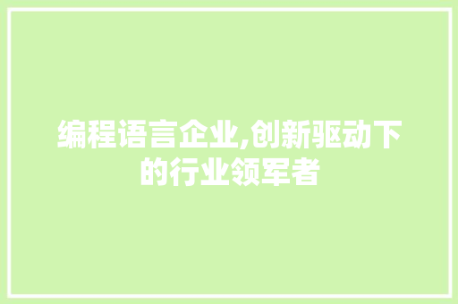 编程语言企业,创新驱动下的行业领军者
