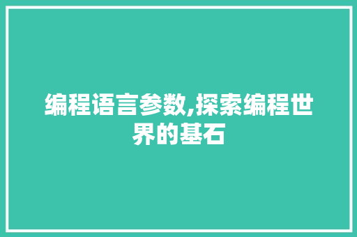 编程语言参数,探索编程世界的基石