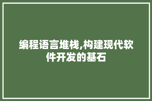 编程语言堆栈,构建现代软件开发的基石