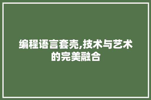 编程语言套壳,技术与艺术的完美融合